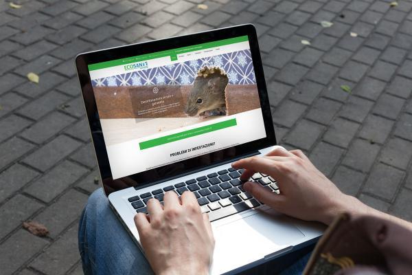 Sito Disinfestazione Scarafaggi